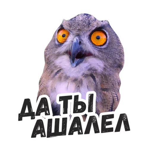 Sticker Жиза сов @lennysticker - 0