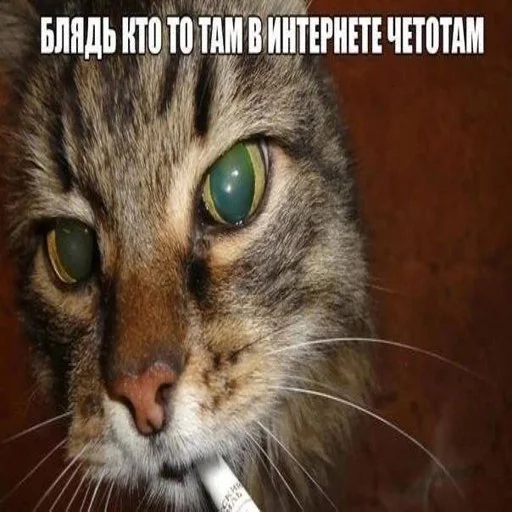 Стикер owneddog2 - 1