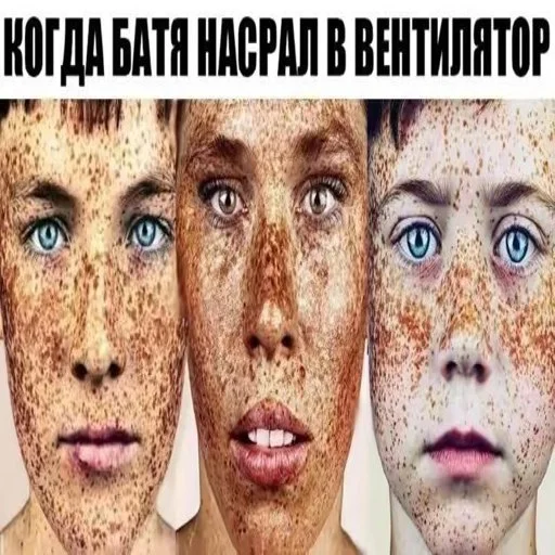 Стикер owneddog2 - 1