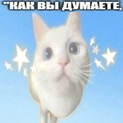 Sticker owneddog2 - 1