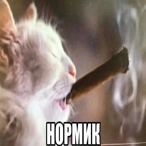 Стикер owneddog2 - 1