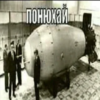 Sticker owneddog 2 - 4