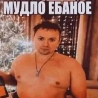 Sticker owneddog 2 - 1