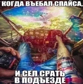 Sticker owneddog 2 - 2