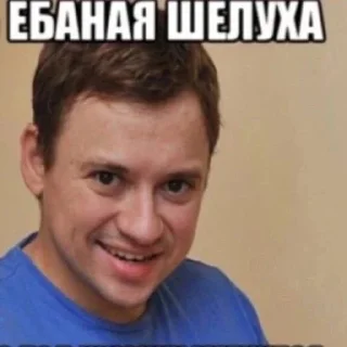 Sticker owneddog 2 - 0