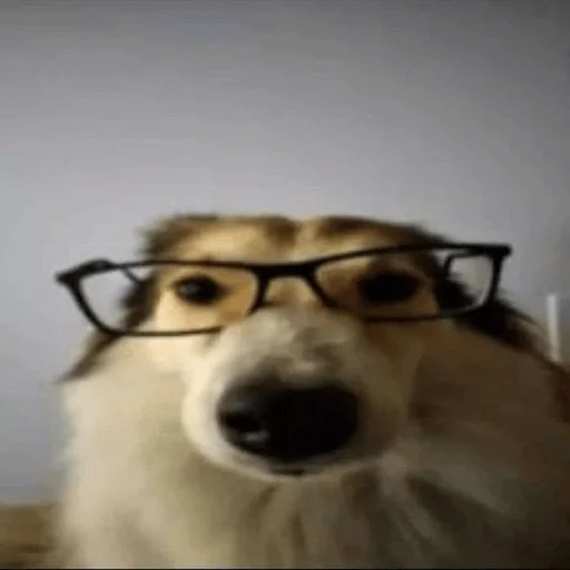 Стикер oxidess - 1