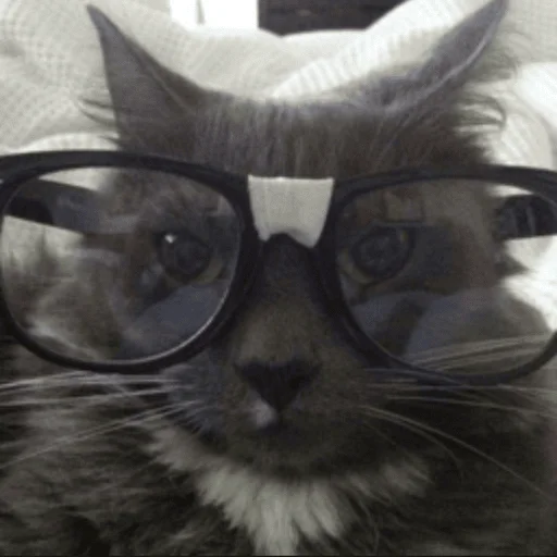 Стикер oxidess - 1