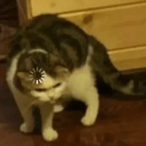 Sticker Ox1onka's durka - 3