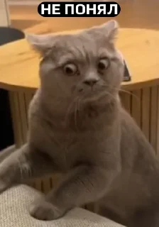 Стикер Вахуе - 9