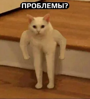 Стикер Вахуе - 11