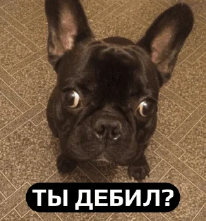 Стикер Вахуе - 7