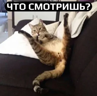 Стикер Вахуе - 5