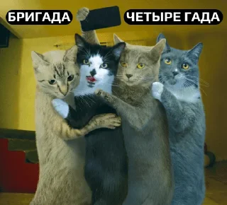 Стикер Вахуе - 10