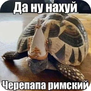 Sticker Оу дап😍🥰😘 @TgEmodziBot - 3