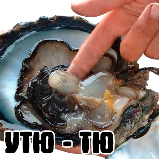 Sticker УСТРИЧНАЯ - 5