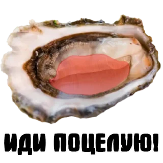 Sticker УСТРИЧНАЯ - 4