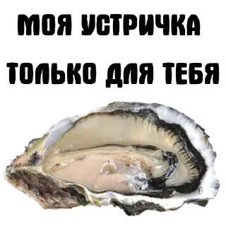 Sticker УСТРИЧНАЯ - 0