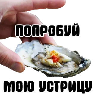 Sticker УСТРИЧНАЯ - 11