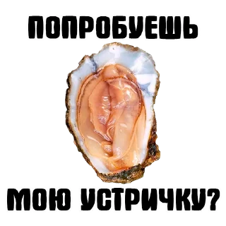 Sticker УСТРИЧНАЯ - 8