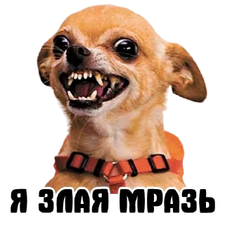 Sticker УСТРИЧНАЯ - 2