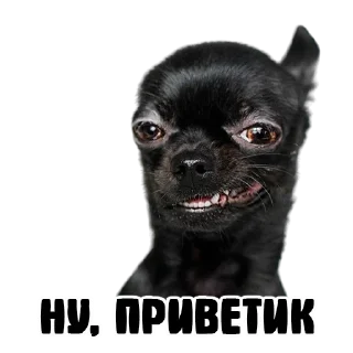 Sticker УСТРИЧНАЯ - 1