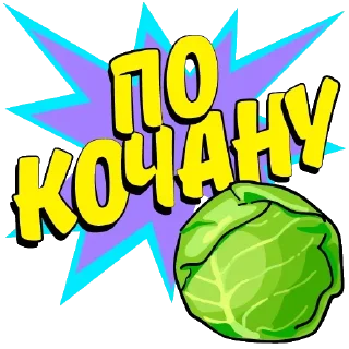 Sticker Answer @stickersb2b - 6