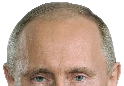 human face forehead man