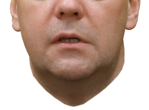 human face cheek skin