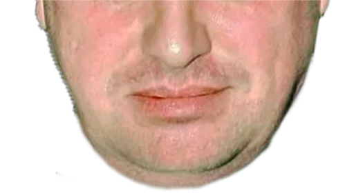 челюсть Человек щека