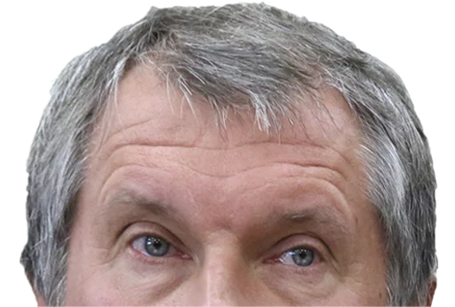 человеческое лицо лоб морщина