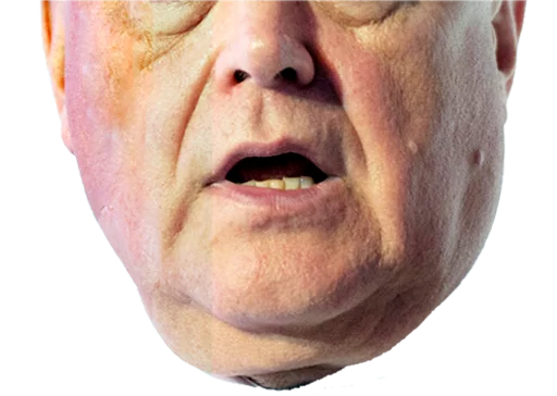 человеческое лицо лоб щека