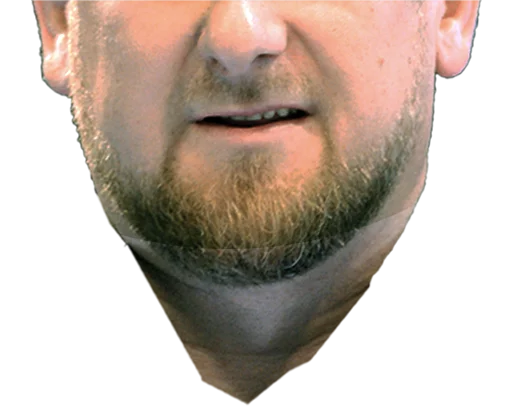 человеческое лицо человеческая борода Человек