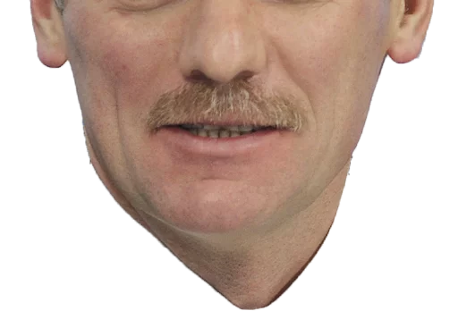 человеческое лицо челюсть лоб