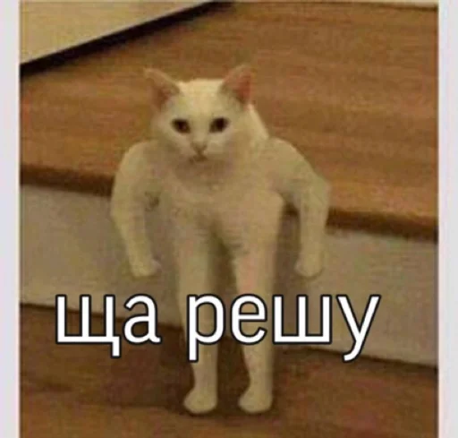 Sticker ozon12345 - 1