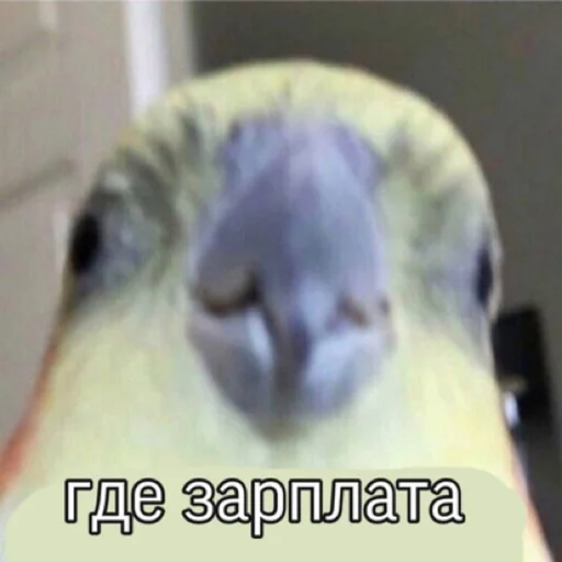 Sticker ozon12345 - 1