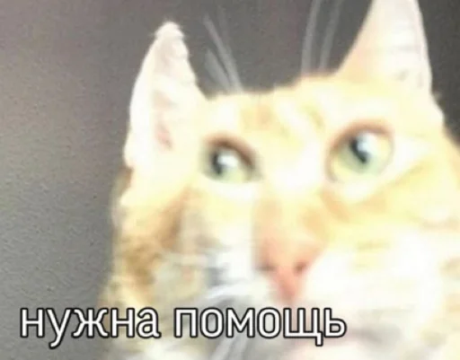 Sticker ozon12345 - 1