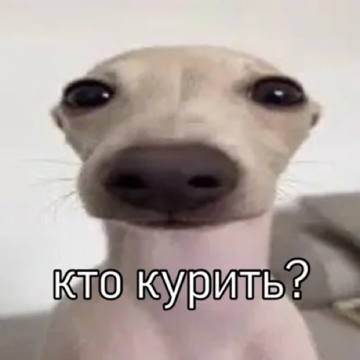 Sticker ozon12345 - 1