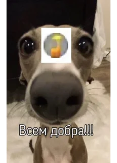 Sticker ozon one love - 8