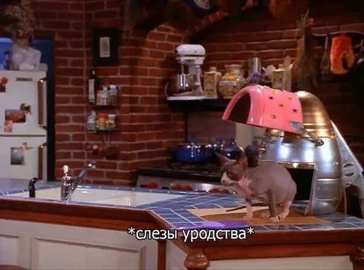 Стикер ozsIiFW_by_achestickbot - 1