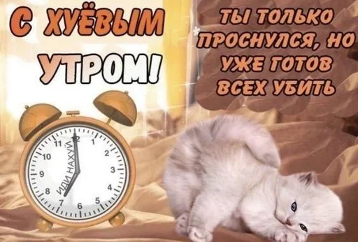 Стикер ozsIiFW_by_achestickbot - 1