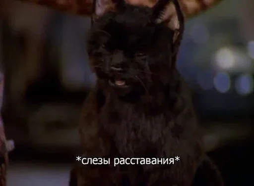 Sticker ozsIiFW_by_achestickbot - 1