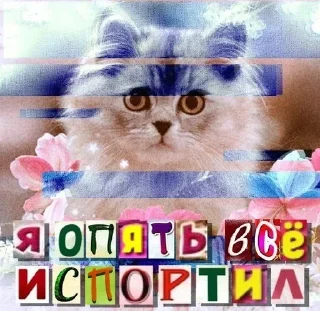 Стикер Больше стиков тут: @stikery4 - 6