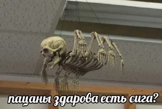 Стикер Больше стиков тут: @stikery4 - 4