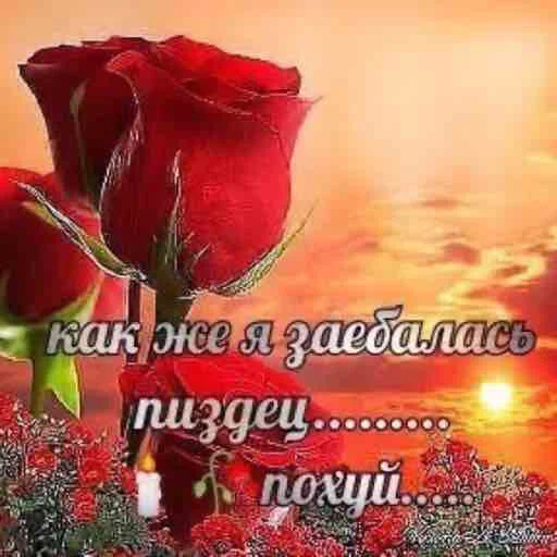 помогите мне - СМС