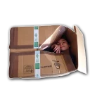 Sticker P-42 & Friends - 8