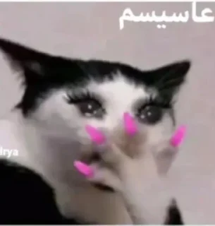 Стикер @miishabotلیانژخلطحلجهرجبع - 4