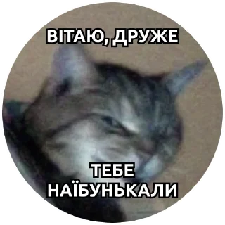 Sticker @pakkosplace pack - 5