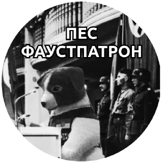 Sticker @pakkosplace pack - 6