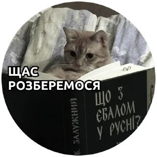 Sticker @pakkosplace pack - 10