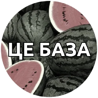 Sticker @pakkosplace pack - 9